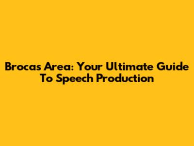 Broca's Area: Your Ultimate Guide To Speech Production