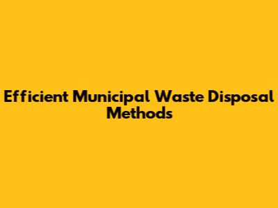 Efficient Municipal Waste Disposal Methods